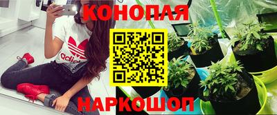 стаф Бугуруслан