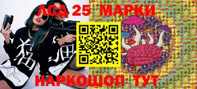 трава Будённовск