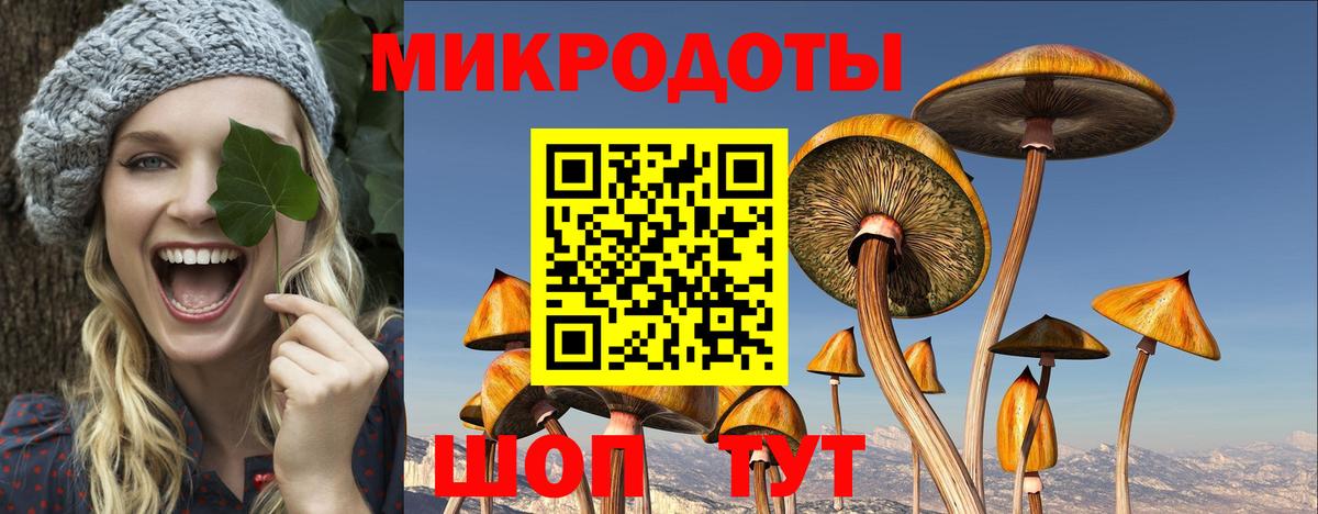 Галлюциногенные грибы мухоморы  Галлюциногенные грибы Psilocybe  Вход с VPN  Нижний Новгород 