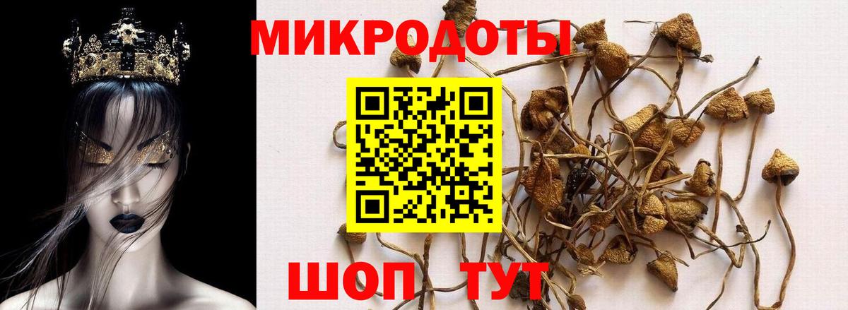 Галлюциногенные грибы ЛСД Нижний Новгород